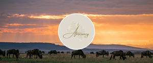 Africovery Selection